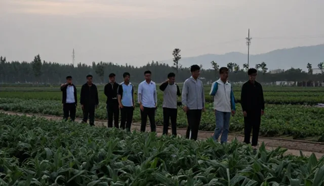 如何选择适合的农机服务提升种植效率？
